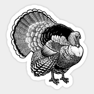 Turkey Sticker